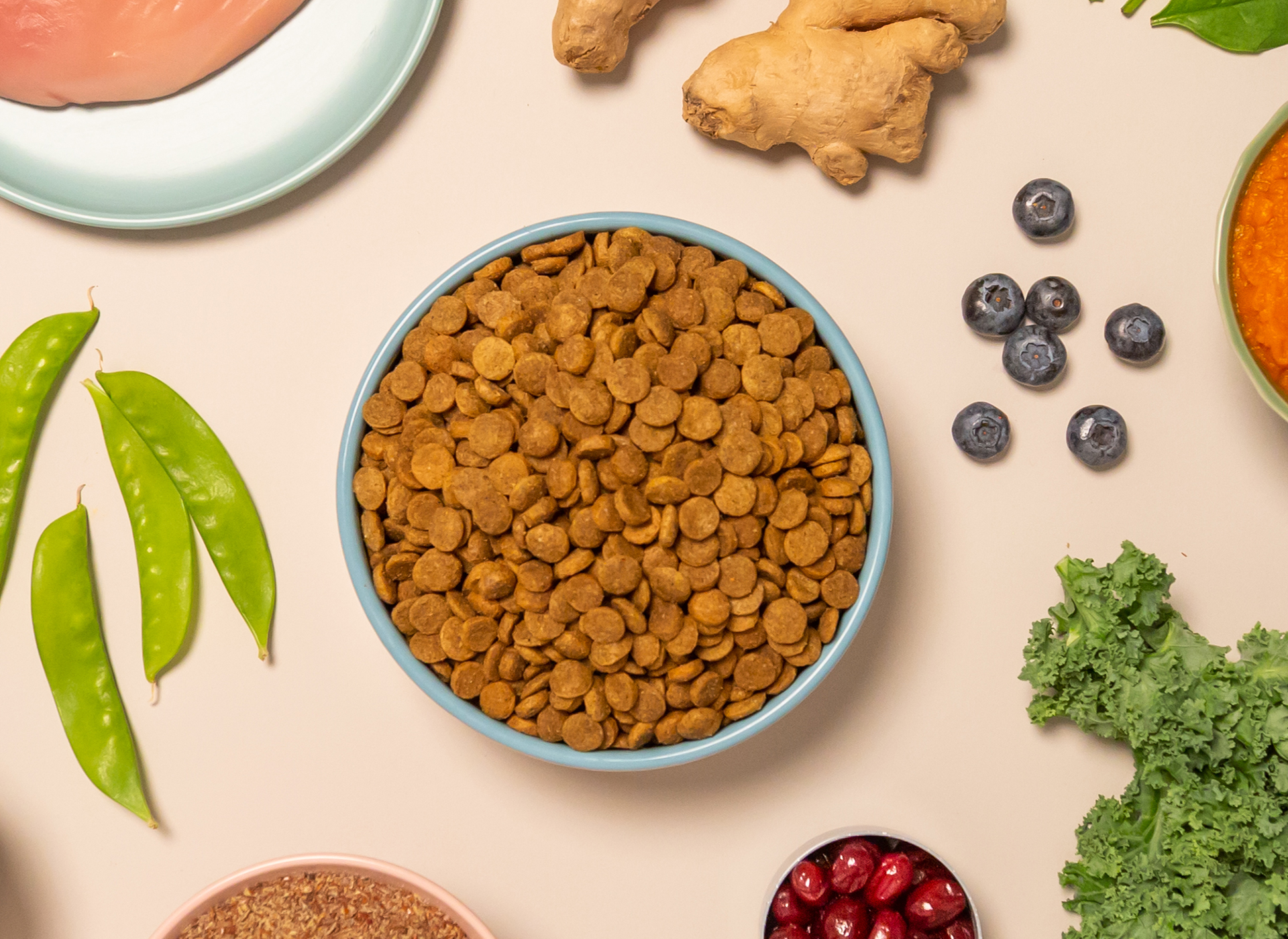 Irresistible Chicken Kibble Kabo Fresh Dog Food Recipes